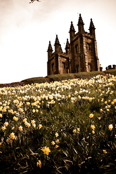 Edinburgh Summer (1 of 1).jpg